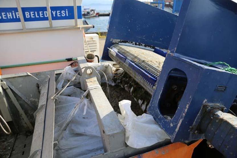 İzmit Körfezinden 100 ton deniz salyası temizlendi