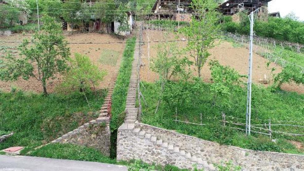 Komşuların inat merdivenleri