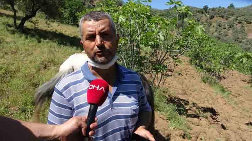 29 yıllık emeğini kaptırdı Neye uğradığımı şaşırdım