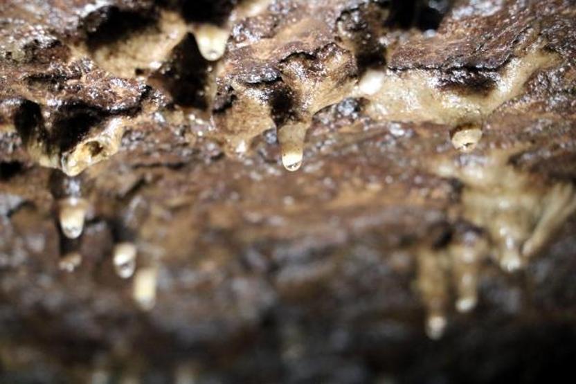 Türkiyenin 10uncu büyük mağarası 2 yıl sonra ziyarete açılıyor
