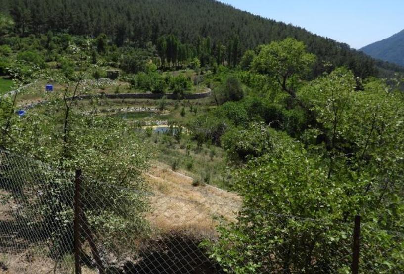 Özgü Namal o eve bir daha adımını bile atmadı