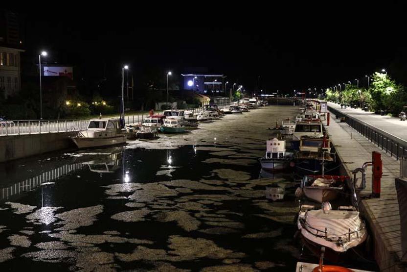 Deniz salyası Kurbağalıdereyi tamamen kapladı