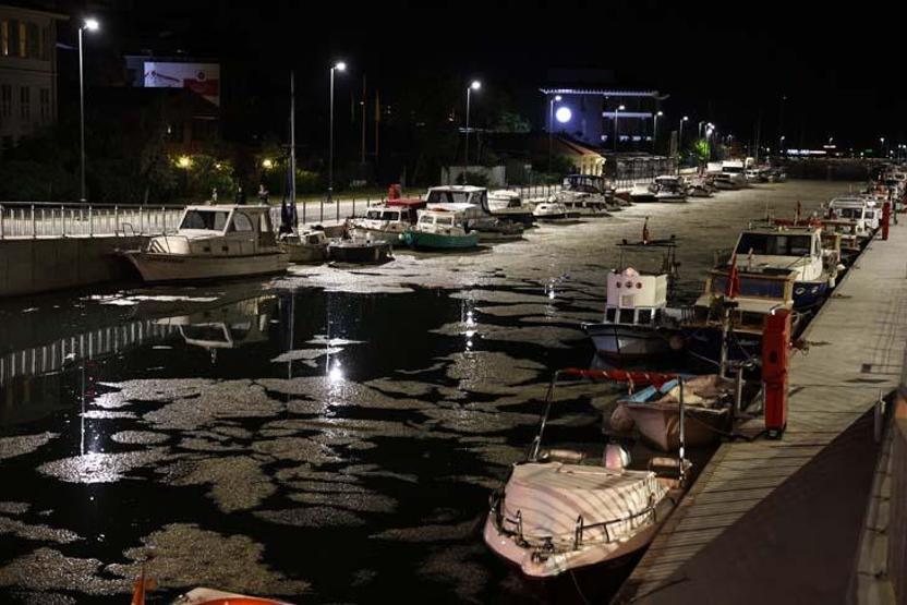 Deniz salyası Kurbağalıdereyi tamamen kapladı