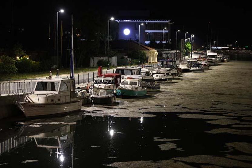 Deniz salyası Kurbağalıdereyi tamamen kapladı