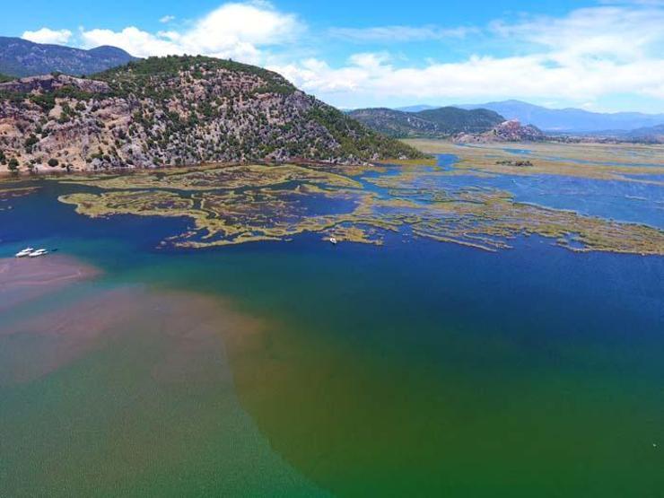 Labirent görünümlü Dalyan sazlıkları misafirlerini yine eşsiz bir yolculuğa çıkaracak