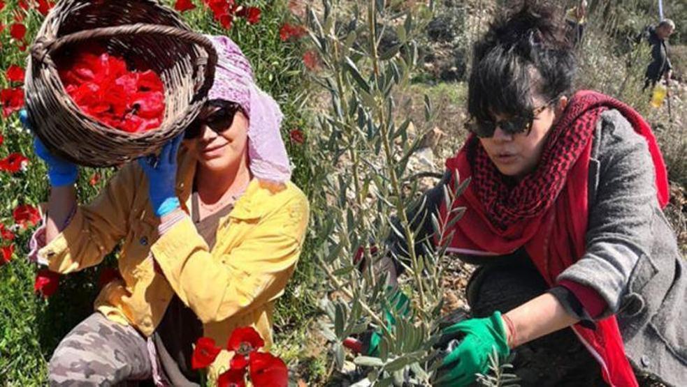 Mehtap Bayri, Muğla’da zeytinlik aldı