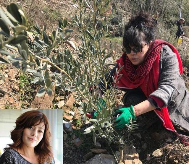 Mehtap Bayri, Muğla’da zeytinlik aldı