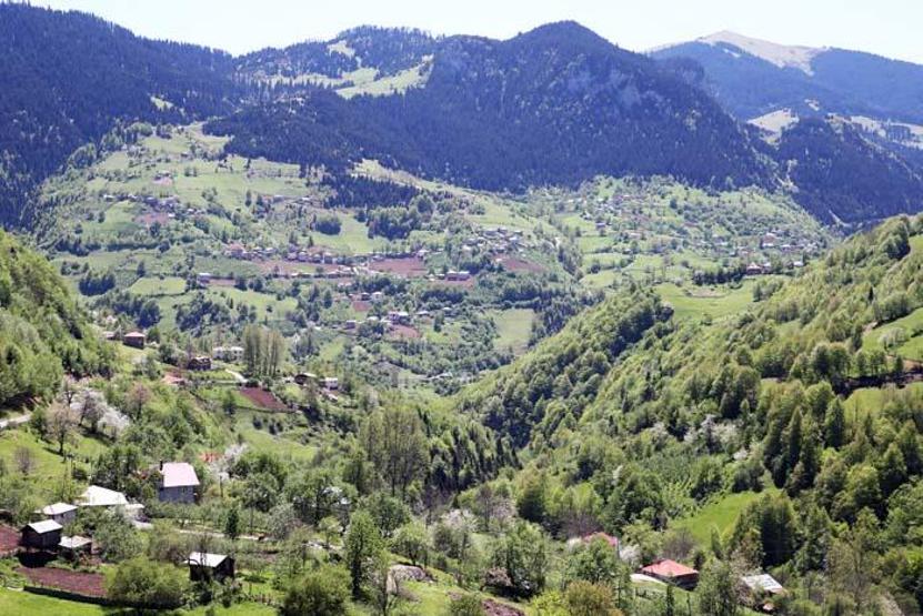 Karadenizin doğa harikası yaylaları hayran bırakıyor
