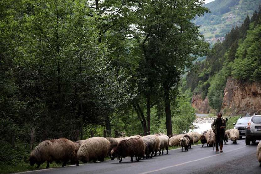 Salgında doğa tatili arayanların uğrak noktası oldu O bölgede rezervasyonlar arttı