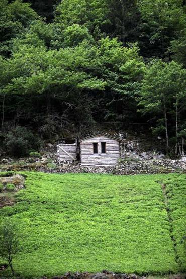 Salgında doğa tatili arayanların uğrak noktası oldu O bölgede rezervasyonlar arttı