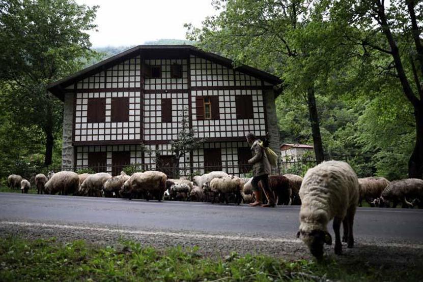 Salgında doğa tatili arayanların uğrak noktası oldu O bölgede rezervasyonlar arttı