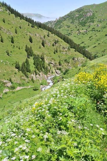 Salgında doğa tatili arayanların uğrak noktası oldu O bölgede rezervasyonlar arttı