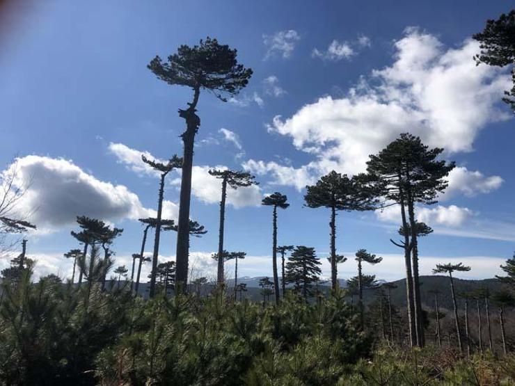 Kazdağları tarihi ve doğasıyla her mevsim ayrı güzelliğe bürünüyor