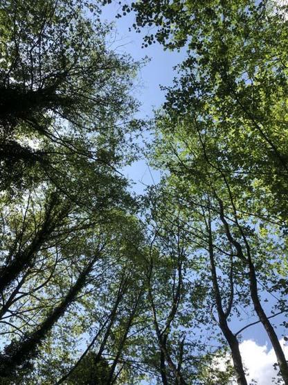 Kazdağları tarihi ve doğasıyla her mevsim ayrı güzelliğe bürünüyor