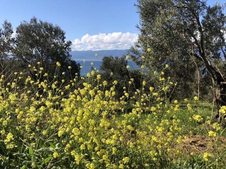 Kazdağları tarihi ve doğasıyla her mevsim ayrı güzelliğe bürünüyor