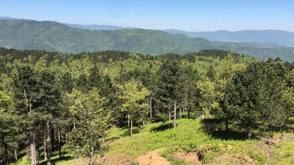 Kazdağları tarihi ve doğasıyla her mevsim ayrı güzelliğe bürünüyor