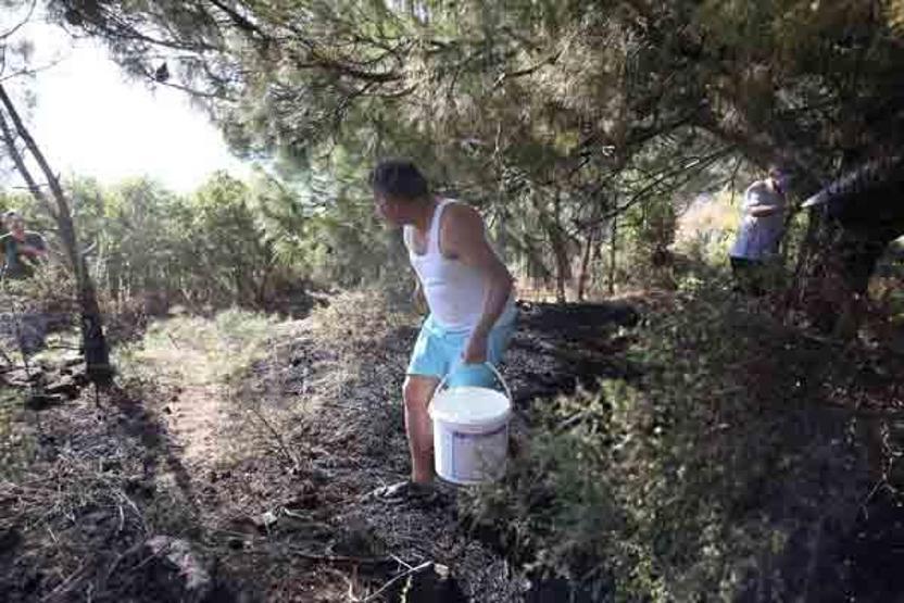 Alanya Kalesi yamacındaki ormanlık alanda çıkan yangın korkuttu