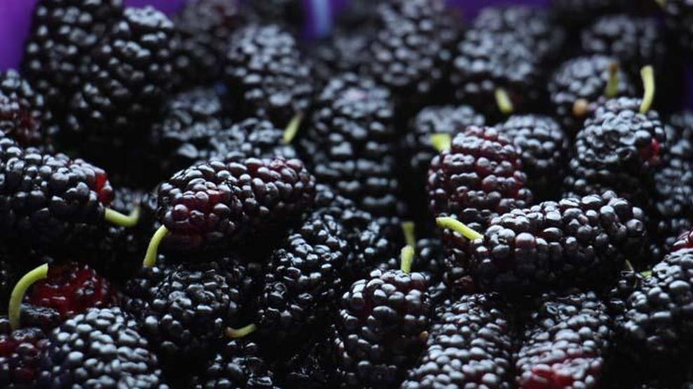 Karadutun bilinmeyen 5 mucizevi faydası