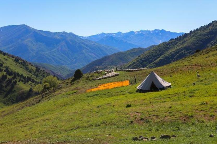 Aşı timleri, 2 bin 500 rakımlı yaylada