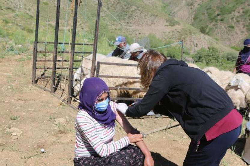 Aşı timleri, 2 bin 500 rakımlı yaylada