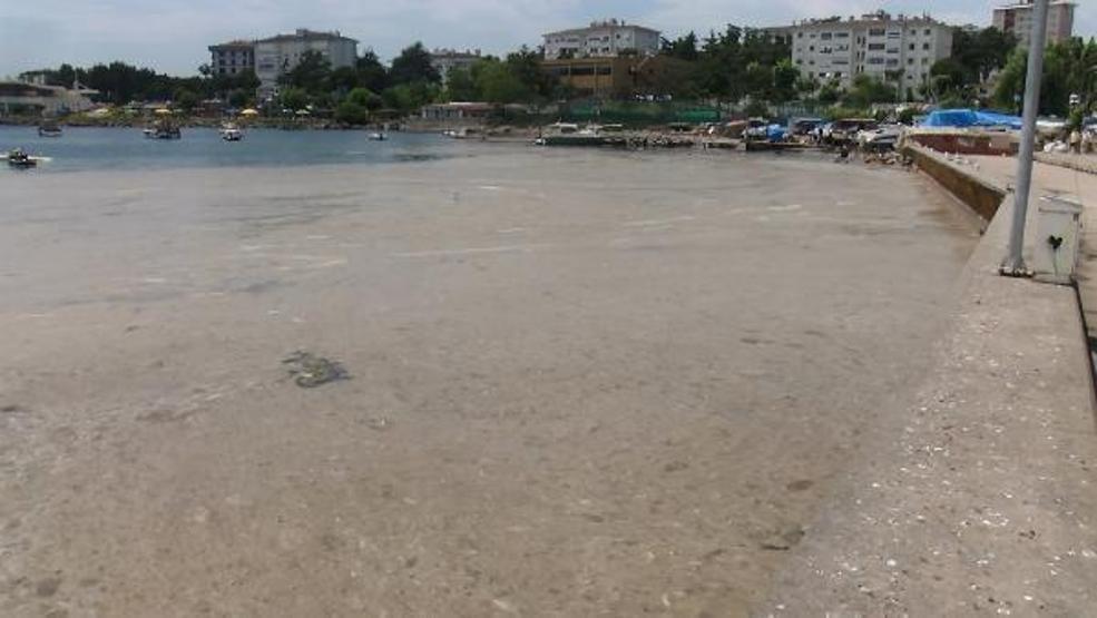 Caddebostanda deniz salyasının arasında suya girdiler