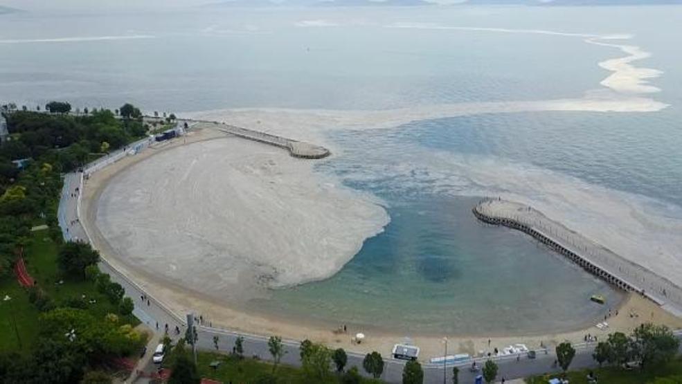 Caddebostanda deniz salyasının arasında suya girdiler
