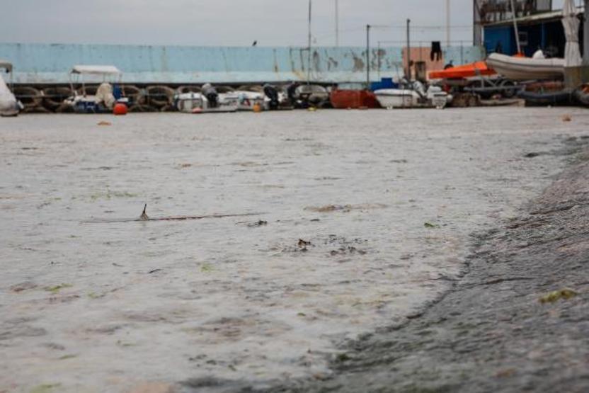 Kadıköy Kurbağlıdere ve sahilde deniz salyası temizliği