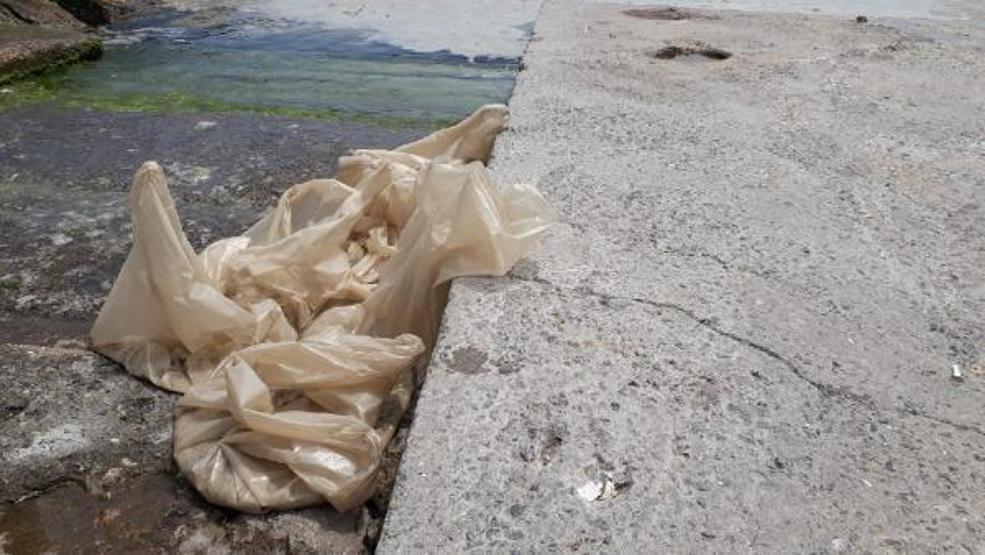 Kadıköy Kurbağlıdere ve sahilde deniz salyası temizliği