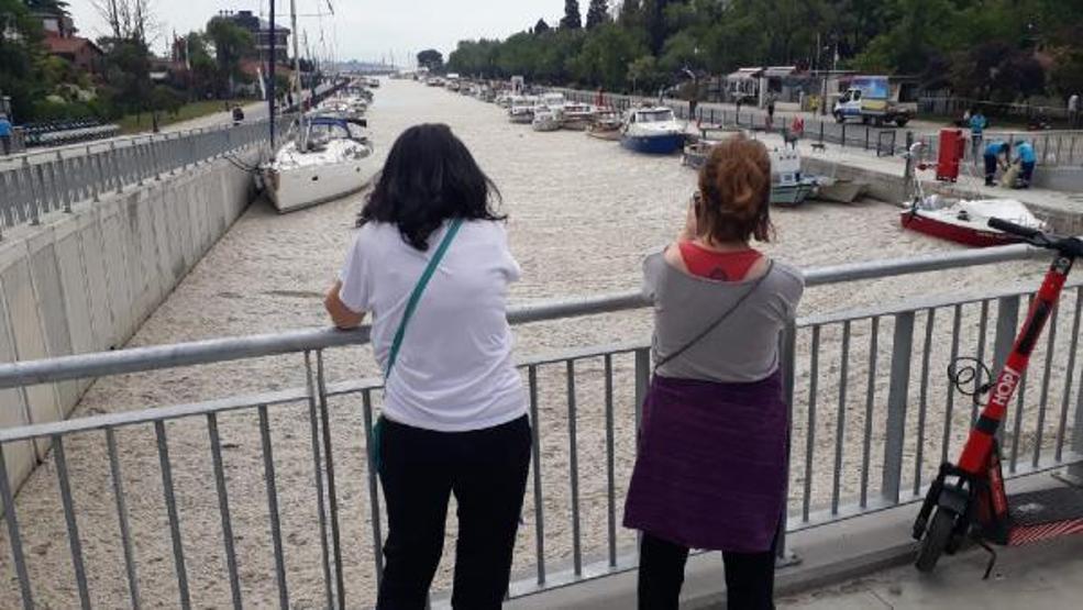 Kadıköy Kurbağlıdere ve sahilde deniz salyası temizliği