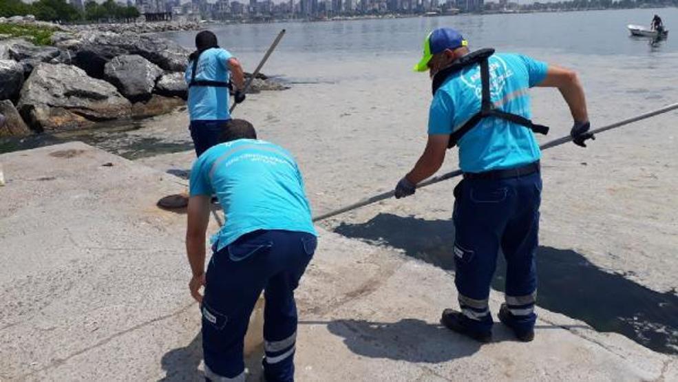 Kadıköy Kurbağlıdere ve sahilde deniz salyası temizliği
