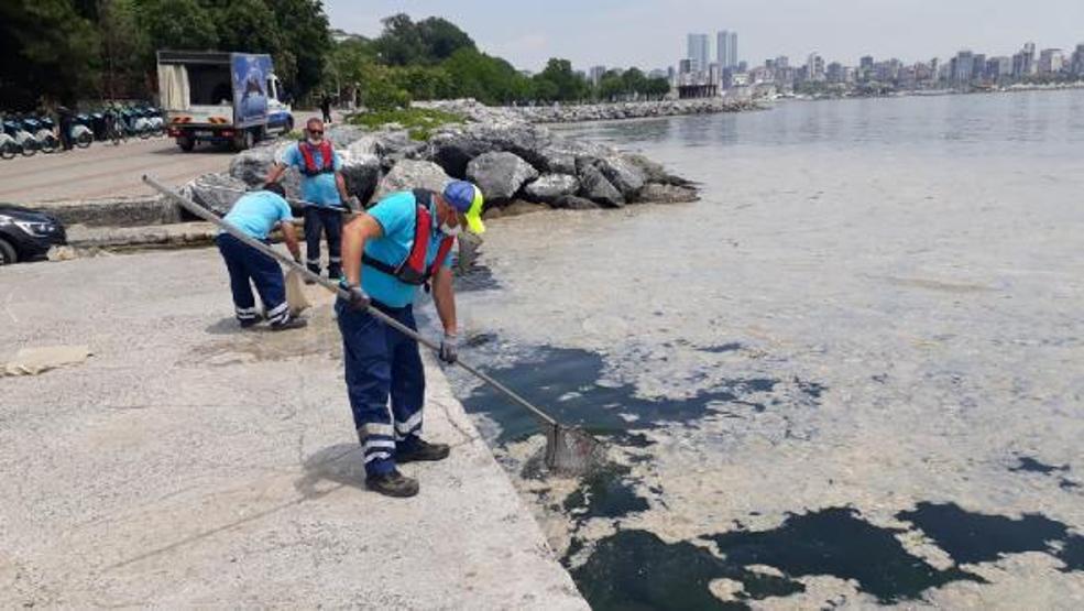 Kadıköy Kurbağlıdere ve sahilde deniz salyası temizliği