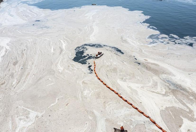 Hem Karadenize hem de Egeye doğru ilerliyor: Müsilaj nerelerde var İşte son durum