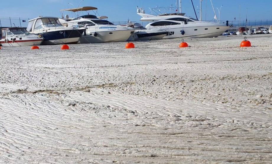 Hem Karadenize hem de Egeye doğru ilerliyor: Müsilaj nerelerde var İşte son durum