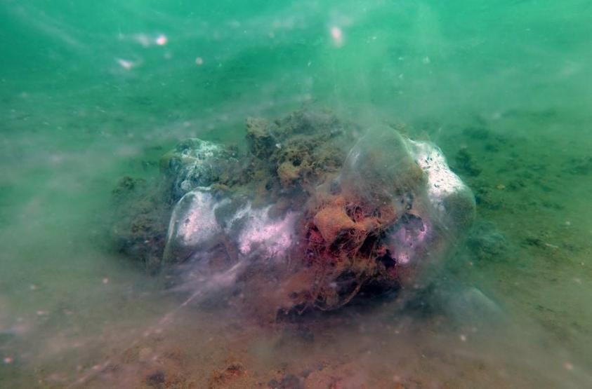 Hem Karadenize hem de Egeye doğru ilerliyor: Müsilaj nerelerde var İşte son durum