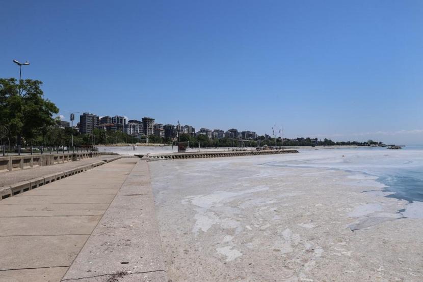 Hem Karadenize hem de Egeye doğru ilerliyor: Müsilaj nerelerde var İşte son durum