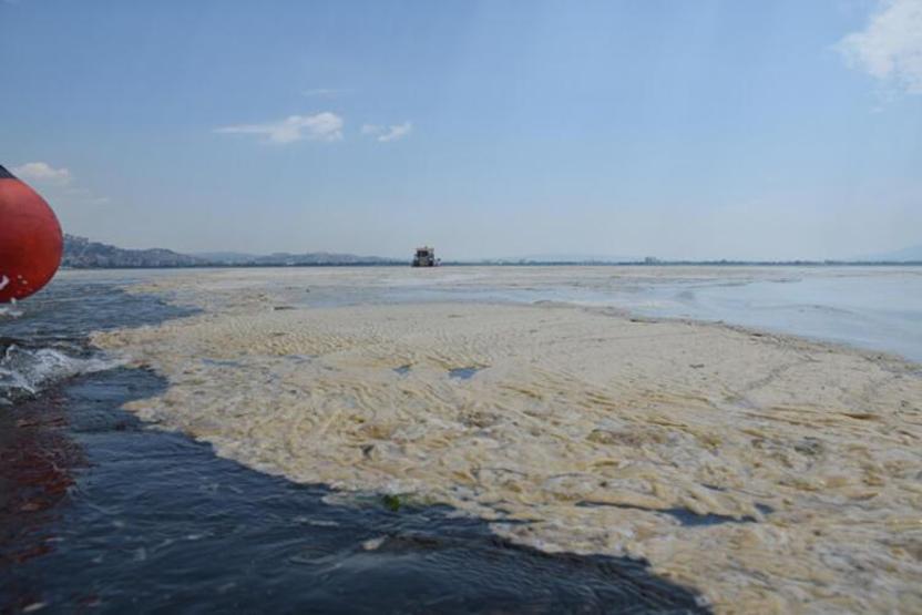 Hem Karadenize hem de Egeye doğru ilerliyor: Müsilaj nerelerde var İşte son durum