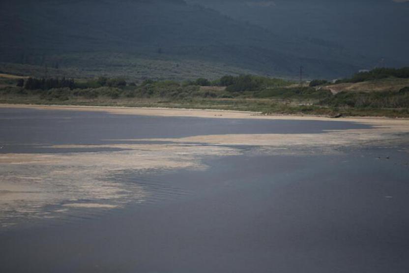 Hem Karadenize hem de Egeye doğru ilerliyor: Müsilaj nerelerde var İşte son durum