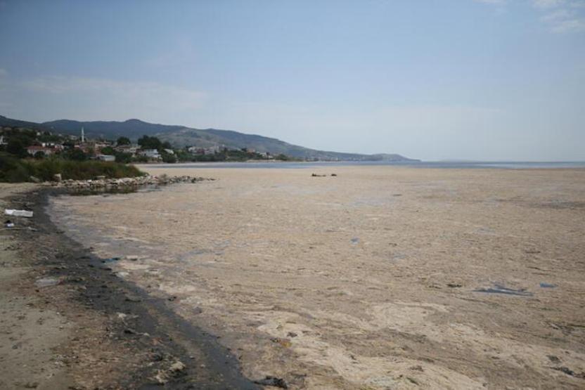 Hem Karadenize hem de Egeye doğru ilerliyor: Müsilaj nerelerde var İşte son durum
