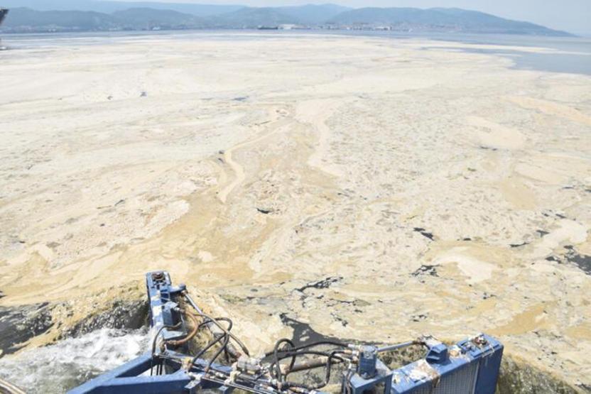 Hem Karadenize hem de Egeye doğru ilerliyor: Müsilaj nerelerde var İşte son durum