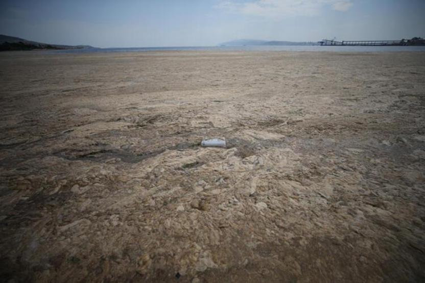 Hem Karadenize hem de Egeye doğru ilerliyor: Müsilaj nerelerde var İşte son durum