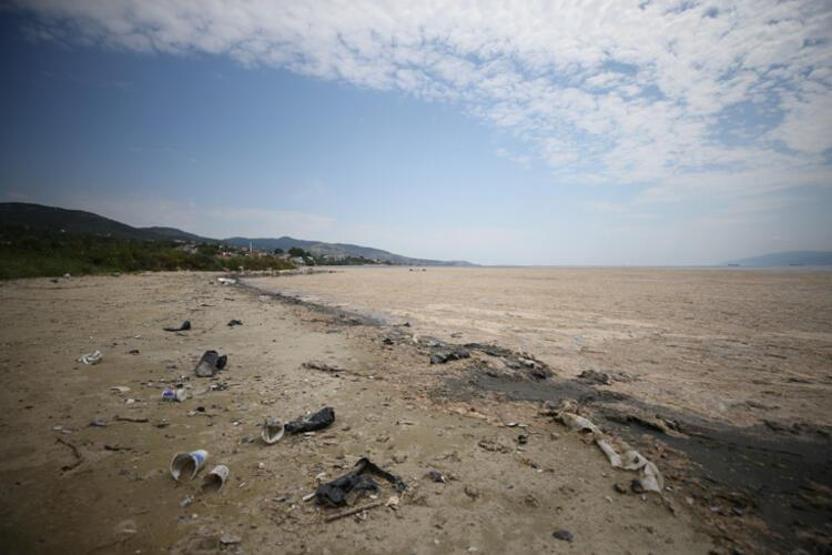 Hem Karadenize hem de Egeye doğru ilerliyor: Müsilaj nerelerde var İşte son durum