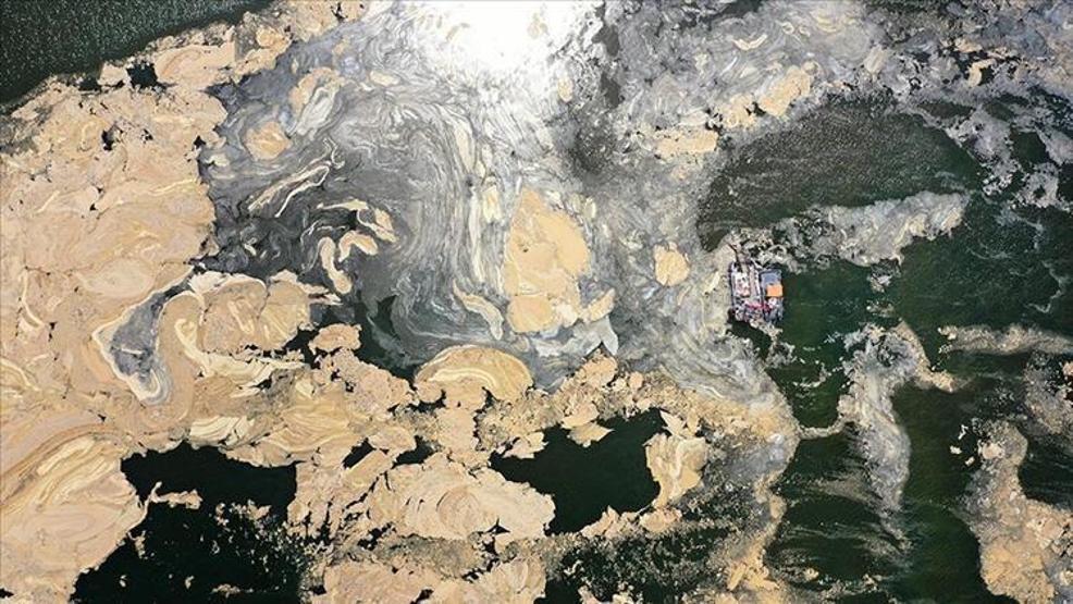 Hem Karadenize hem de Egeye doğru ilerliyor: Müsilaj nerelerde var İşte son durum