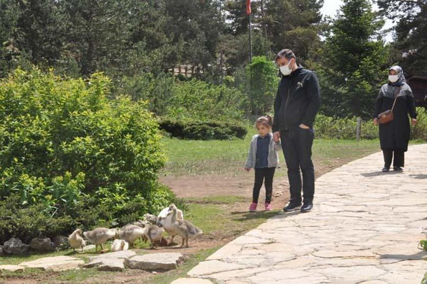 Limni Gölü Tabiat Parkı ziyaretçilerini ağırlıyor