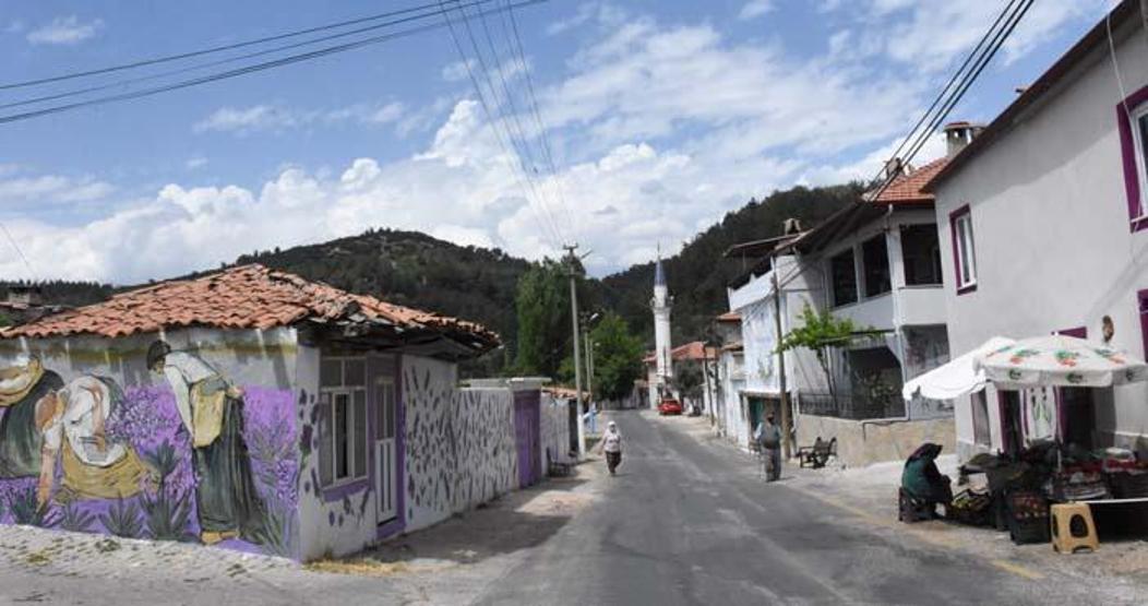 Muğlada evlerin duvarları lavanta figürleriyle süslenen mahalle fotoğraf tutkunlarını bekliyor
