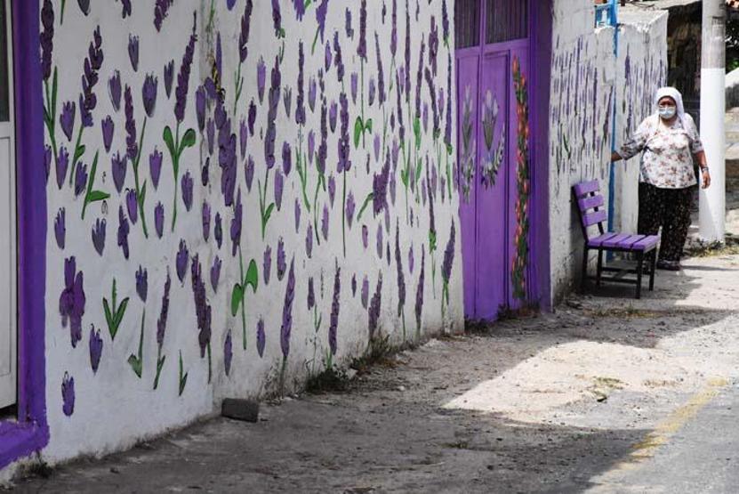 Muğlada evlerin duvarları lavanta figürleriyle süslenen mahalle fotoğraf tutkunlarını bekliyor