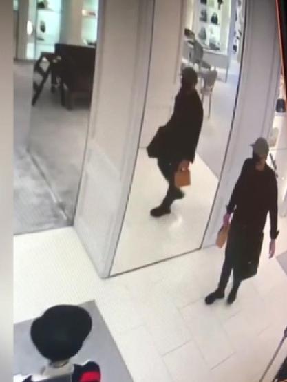Rusyadan hırsızlık için geldiler: 250 bin liralık çantayı çaldılar