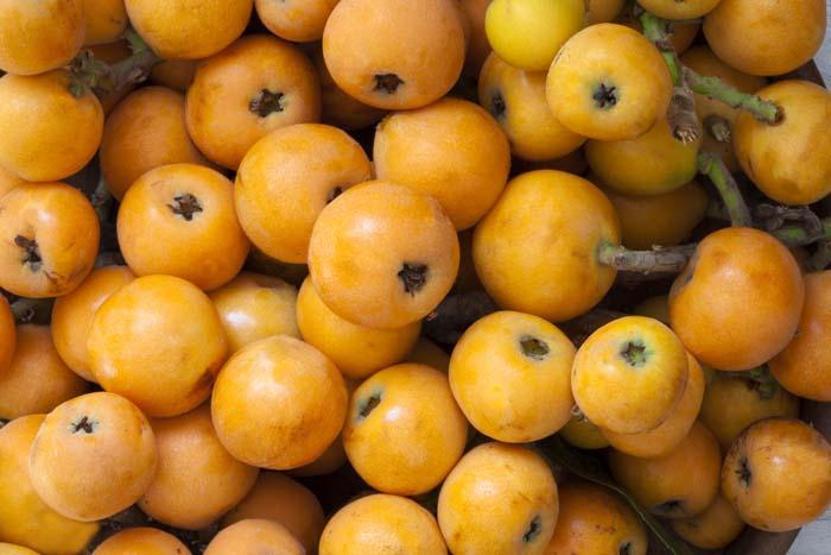 Yaz mevsiminin en sağlıklı 5 meyvesi ve metabolizmayı bozan 5 hata Metabolizmaya iyi gelen meyveler