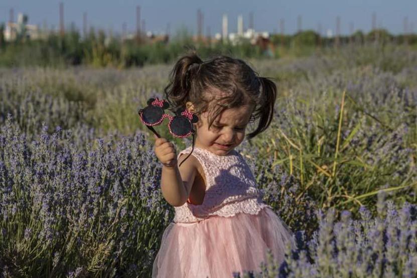 Diyarbakırın yeni cazibe merkezi: Lavanta bahçeleri