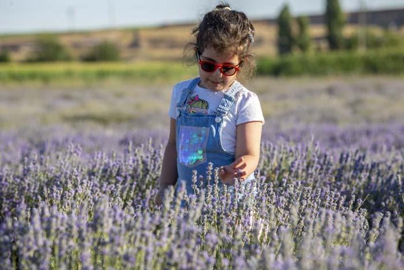 Diyarbakırın yeni cazibe merkezi: Lavanta bahçeleri