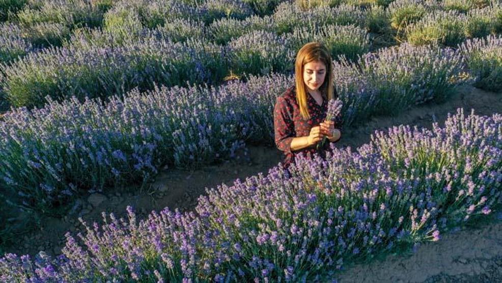 Diyarbakırın yeni cazibe merkezi: Lavanta bahçeleri